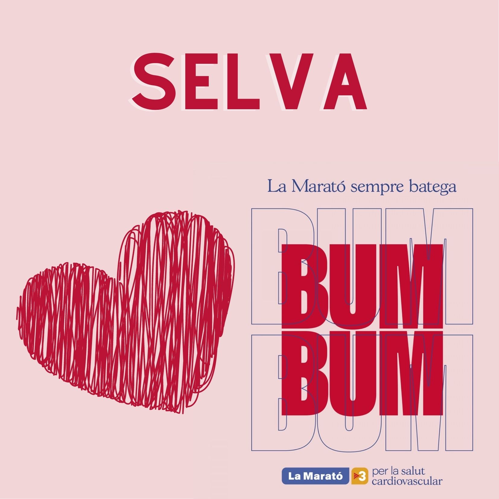 Com col·laborar amb la Marató si està per la Selva - On Anem Avui?