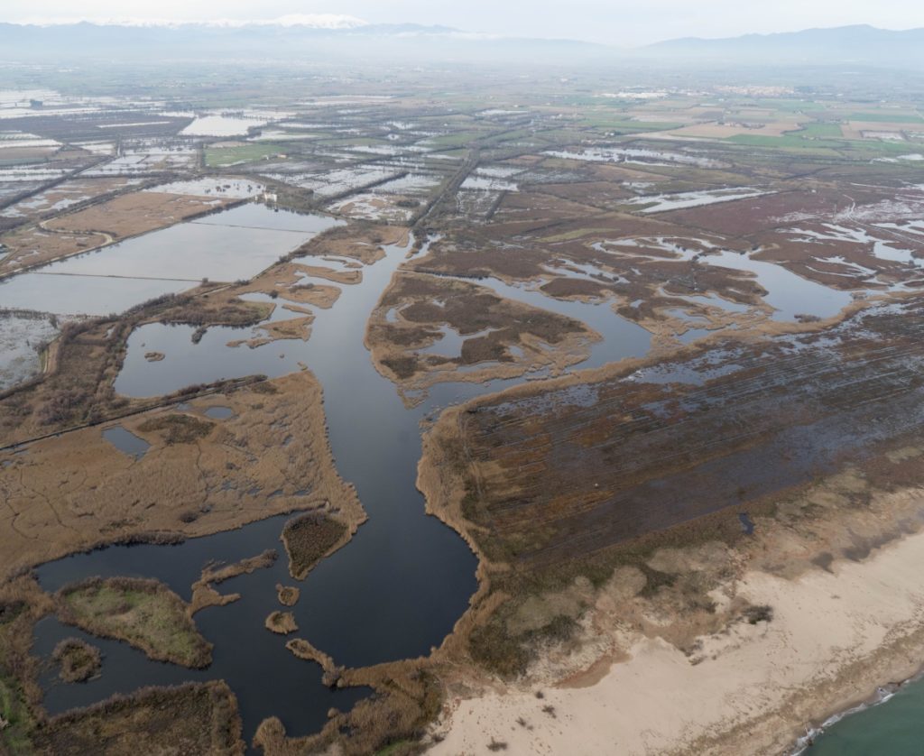 aiguamolls de l'empordà