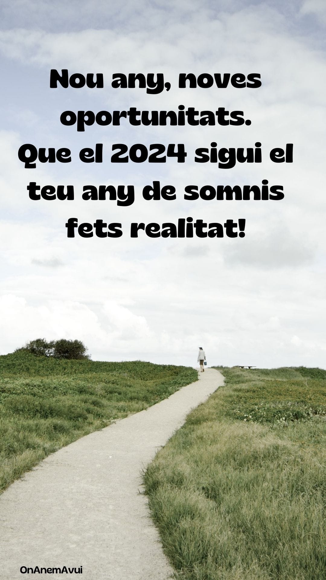 imatges per desitjar bon any