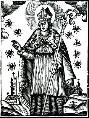 Per Sant Narcís, cada mosca val per sis - On Anem Avui?