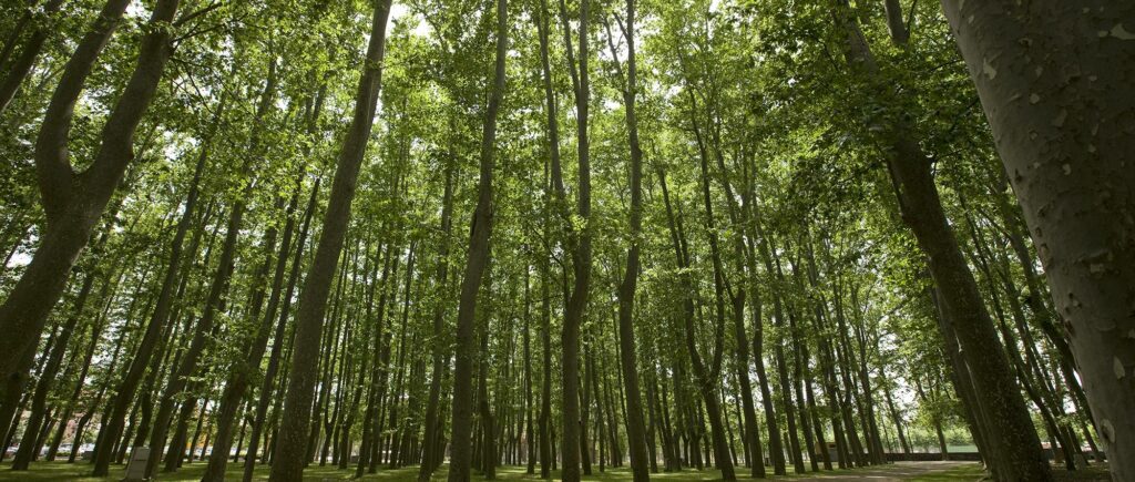 Parc Devesa Girona