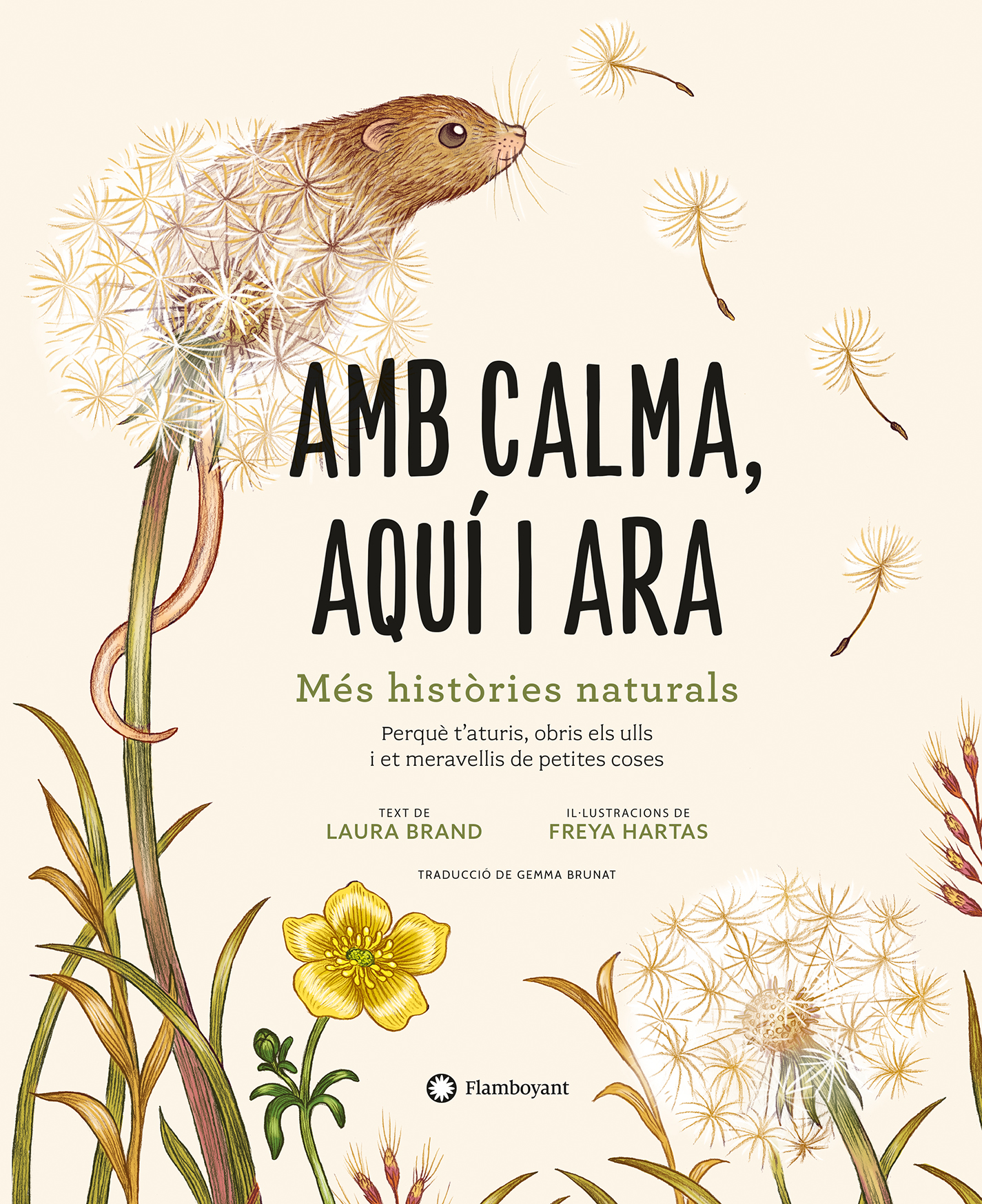 Amb calma, aquí i ara - On Anem Avui?