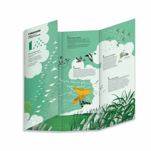 Coreografies animals — Núria Solsona (Zahorí): un llibre desplegable que celebra el moviment col·lectiu — imatge 4