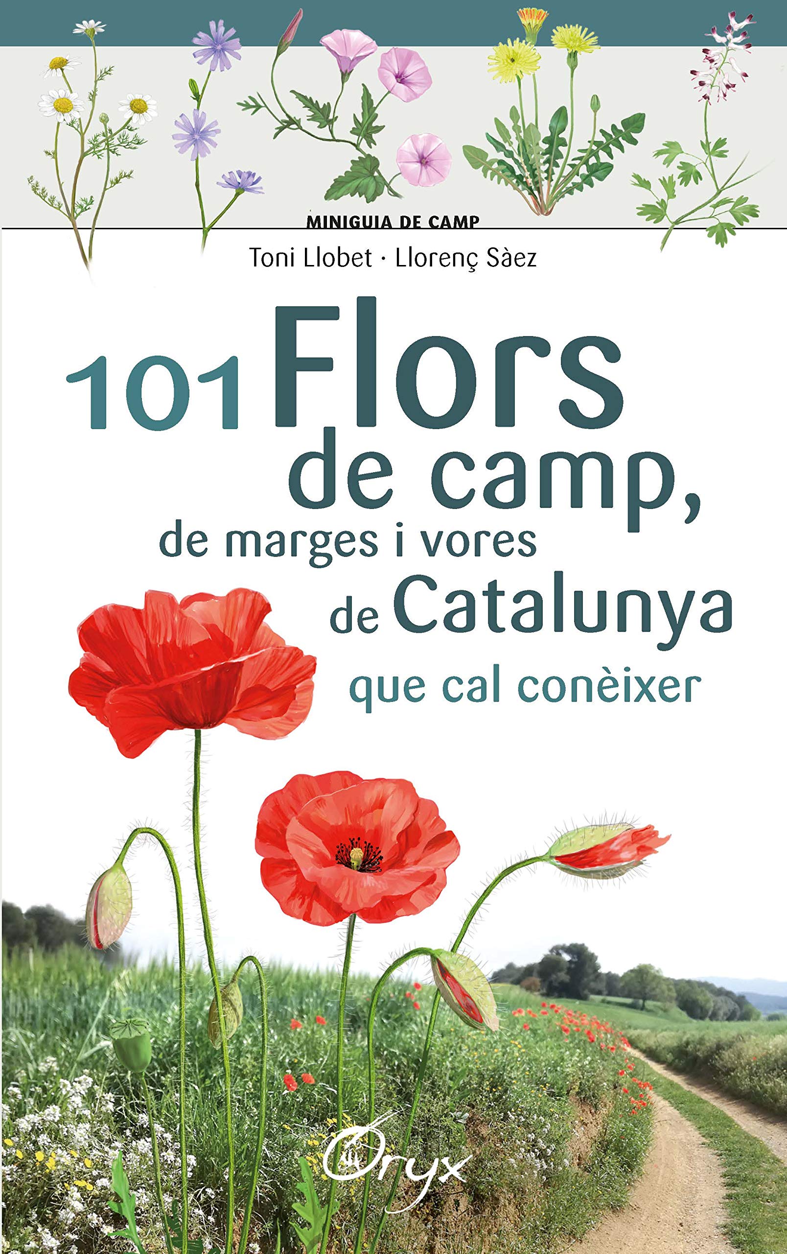 101 flors de camp, de marges i vores de Catalunya que cal conèixer - On Anem Avui?