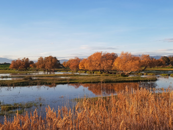 els estanys dels aiguamolls de l'emporda