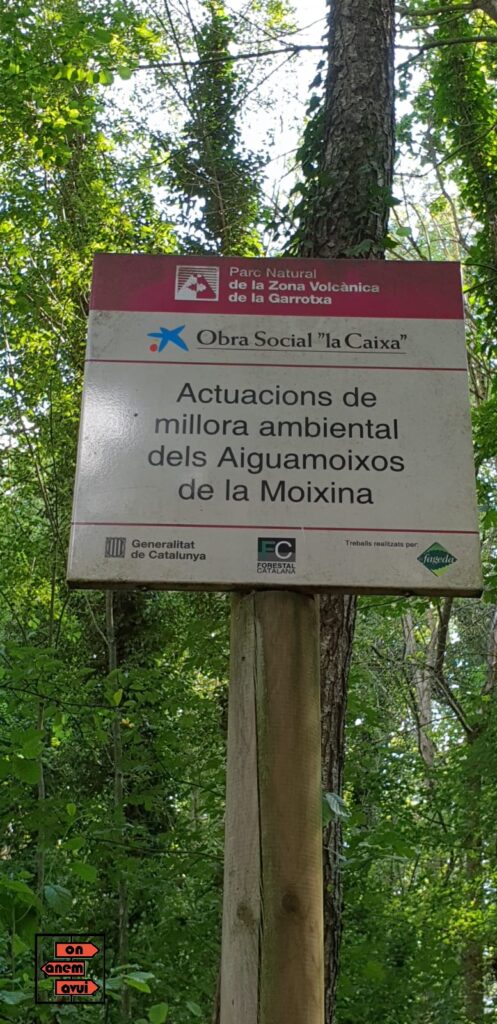 Aiguamolls de la Moixina