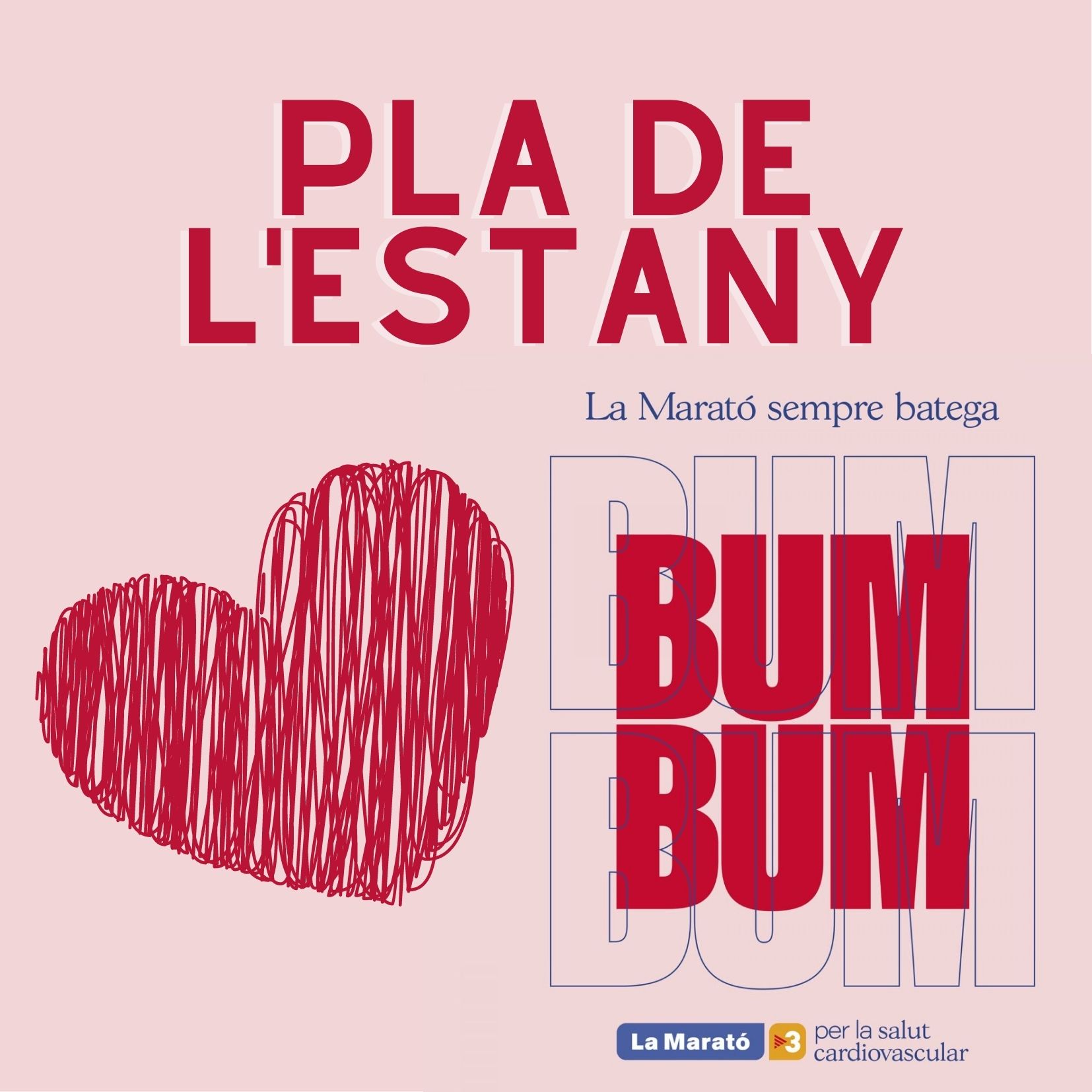 20 coses a fer i col·laborar amb la marató de TV3 pel Pla de l'Estany - On Anem Avui?