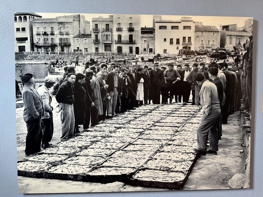 Museu de l'Anxova i de la Sal l'escala
