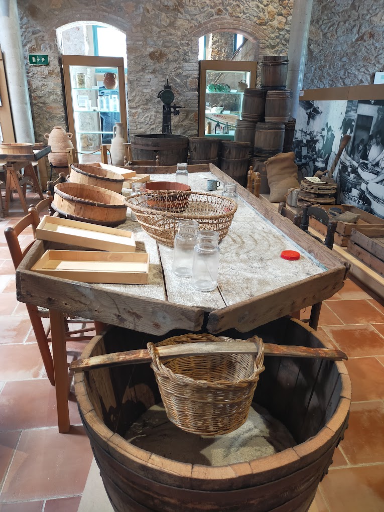 Museu de l'Anxova i de la Sal l'escala