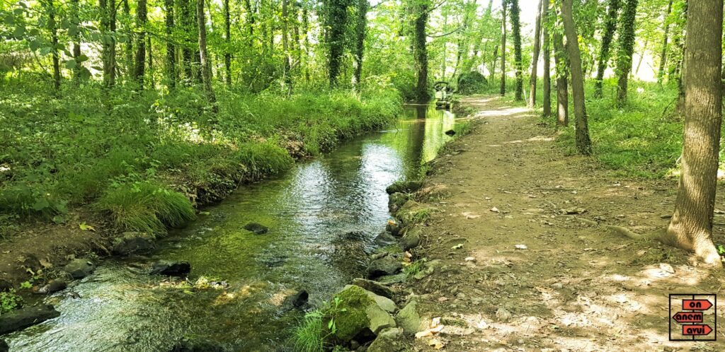 Aiguamolls de la Moixina