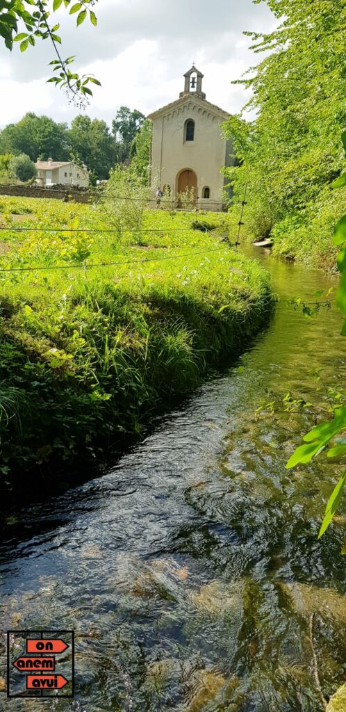 Aiguamolls de la Moixina
