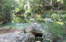 Anem a. Remuntar l'Onyar