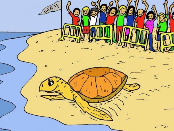 La tortuga Floreta al CRAM