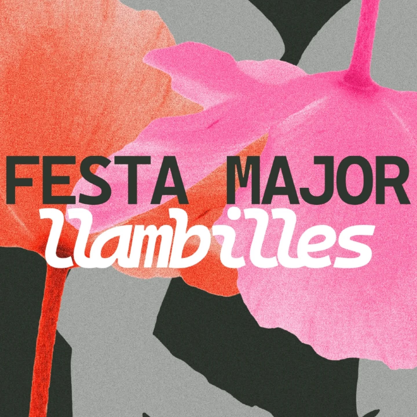Festa Major de Llambilles 2025