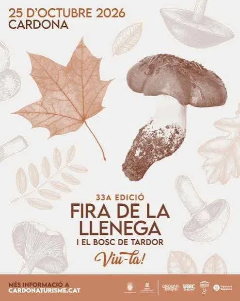 Cartell de Cardona celebrarà la 33a Fira de la Llenega el 2026