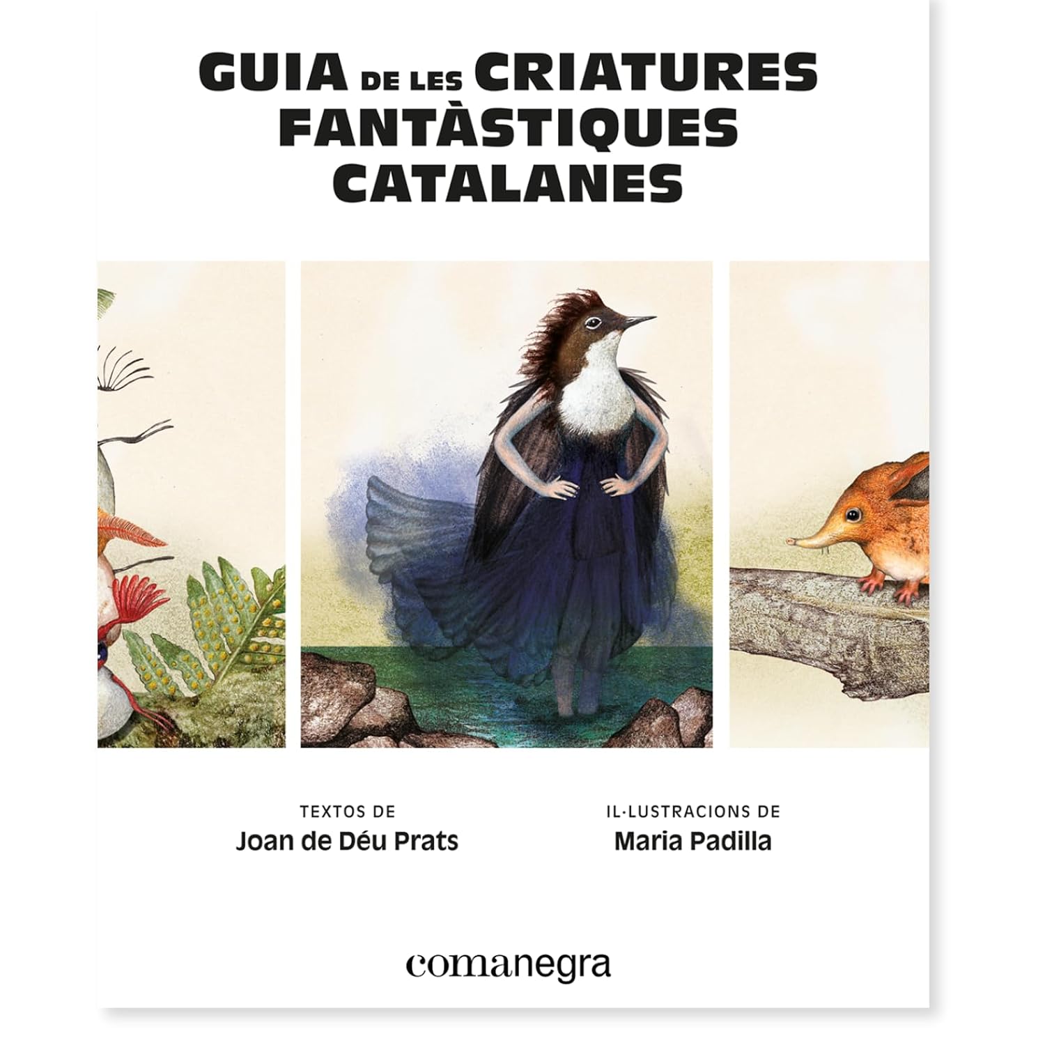 Guia de les criatures fantàstiques catalanes: més de 150 éssers mitològics