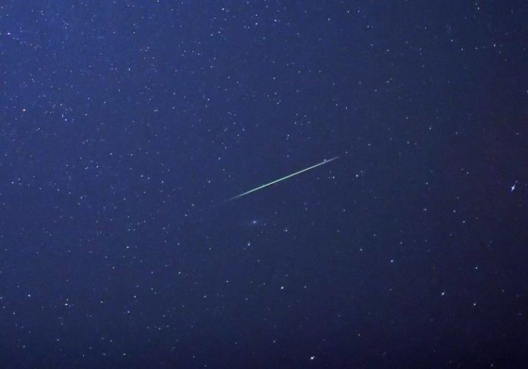 perseidas