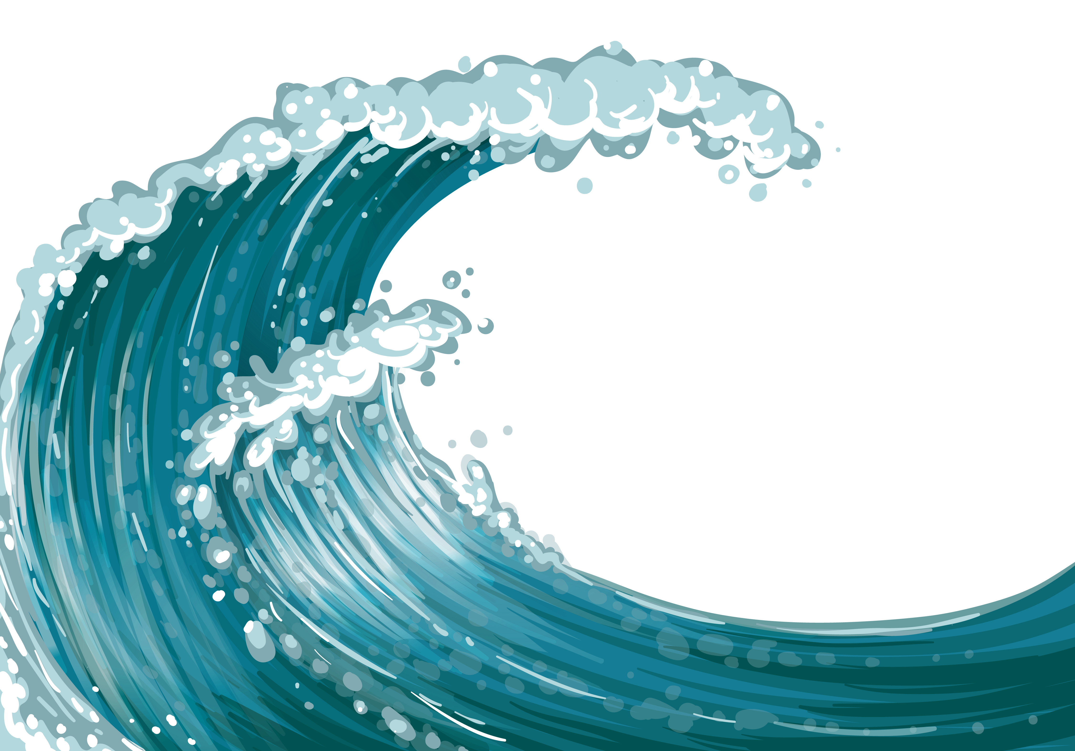 tsunami vaga general