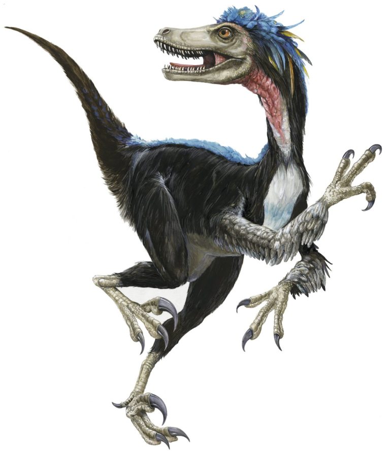 Com veure dinosaures a casa
