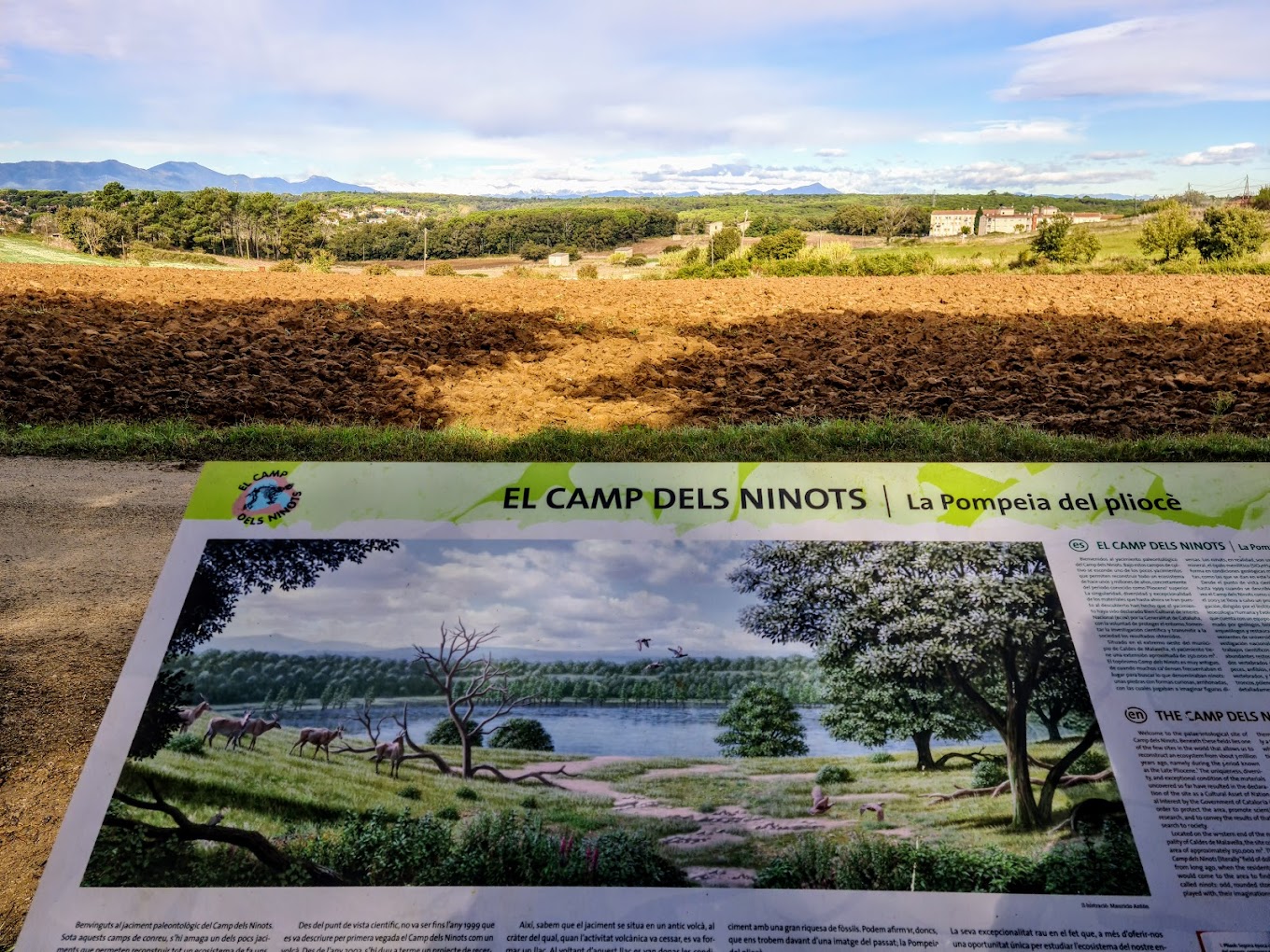 Camp dels ninots