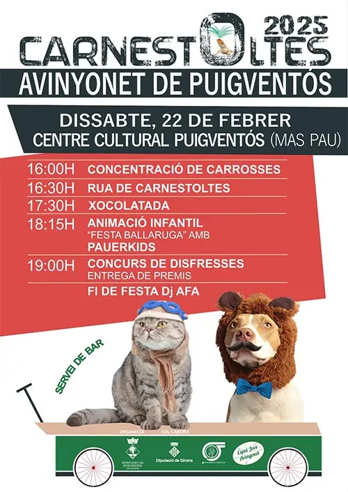 Carnaval de Avinyonet de Puigventós 2025