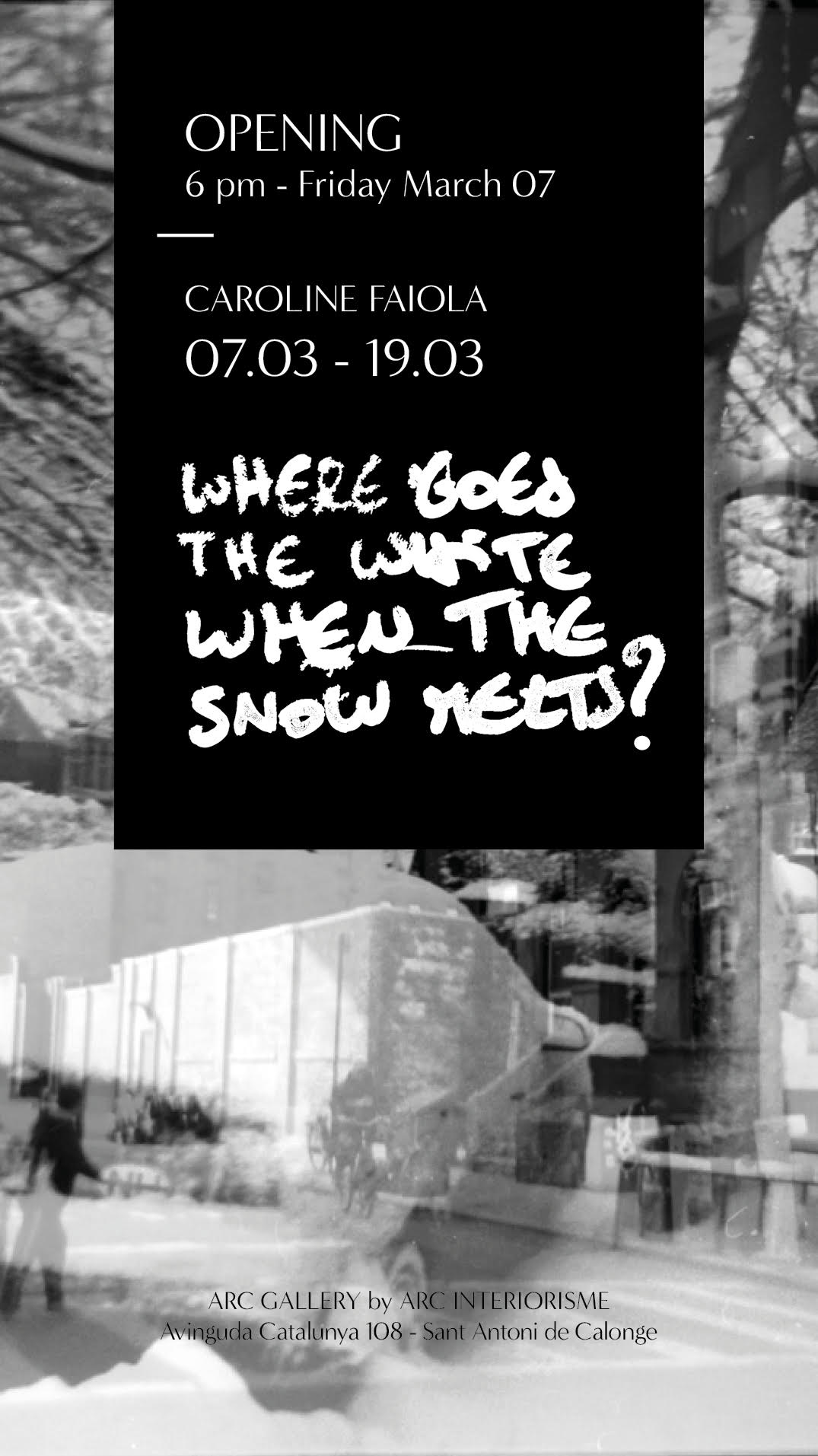 Exposició Where Goes the White When Melts the Snow de Caroline Faiola