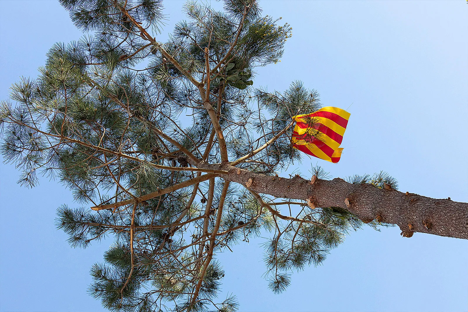 Festa de Pasqüetes de Castell d'Aro 2025