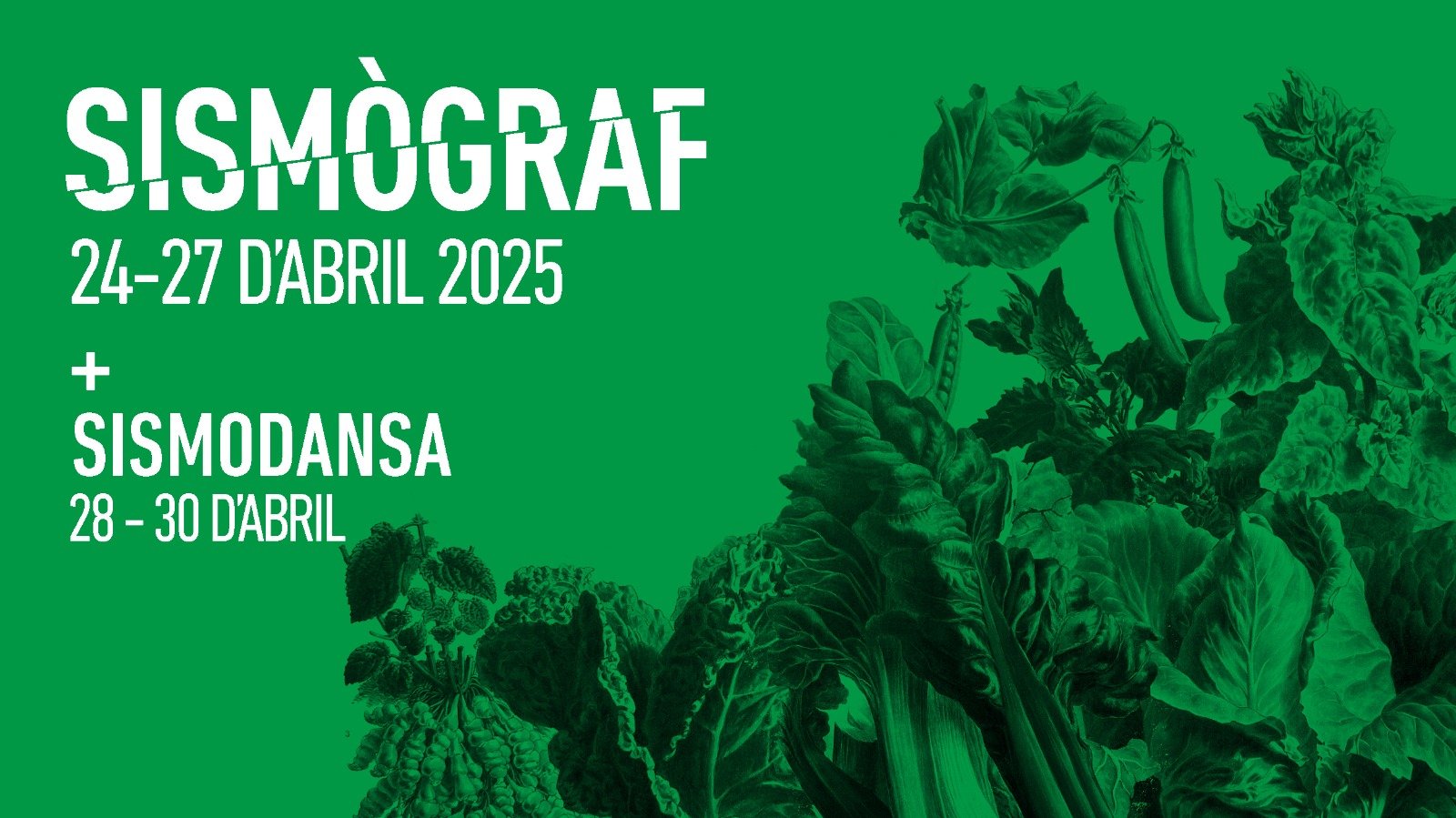 sismograf 2025