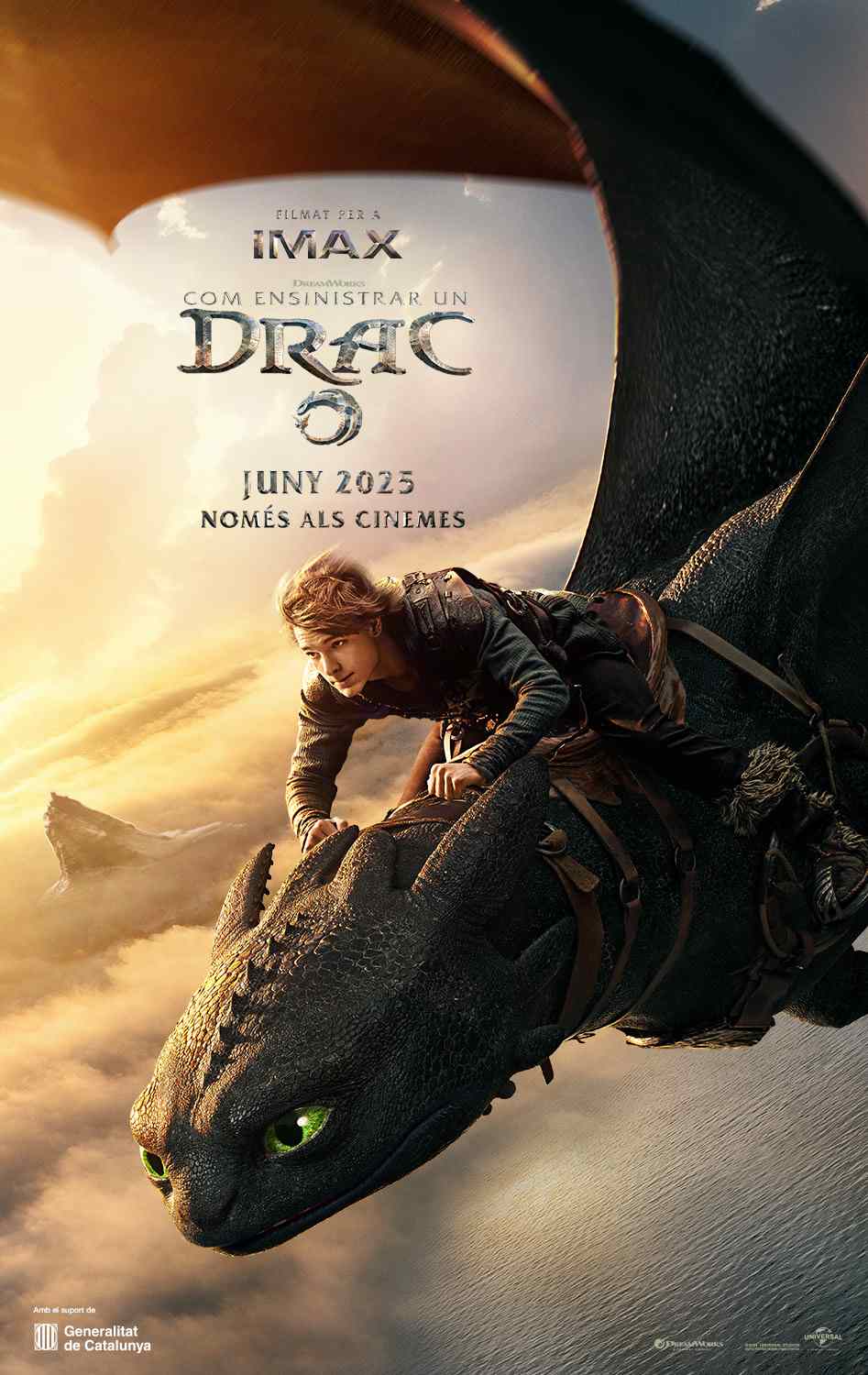 Com ensinistrar un drac