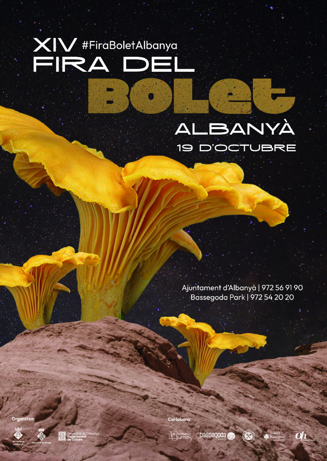 Fira del Bolet a Albanyà