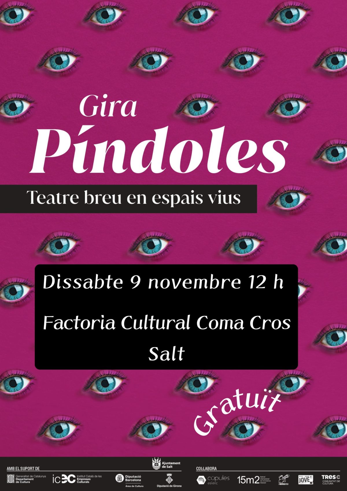 FESTIVAL PÍNDOLES