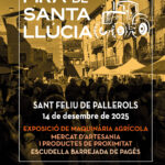 Fira de Santa Llúcia 2025 a Sant Feliu de Pallerols
