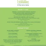 XV Fira de l’Espàrrec de bosc